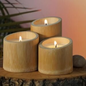 Vanilla Woods Warm vanilla and sandalwood